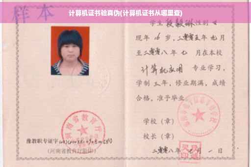 计算机证书验真伪(计算机证书从哪里查)