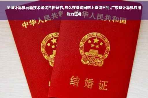 全国计算机高新技术考试合格证书,怎么在查询网站上查询不到,广东省计算机应用能力证书