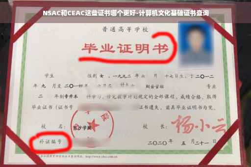 NSAC和CEAC这些证书哪个更好-计算机文化基础证书查询