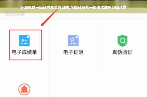 计算机省一级证书怎么领取的,全国计算机一级考试成绩分哪几类