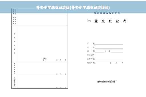 补办小学毕业证流程(补办小学毕业证流程图)