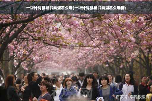 一级计算机证书类型怎么选(一级计算机证书类型怎么选择)