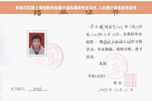 怎样打印网上查找到的全国计算机等级考试证书,人社部计算机资格证书