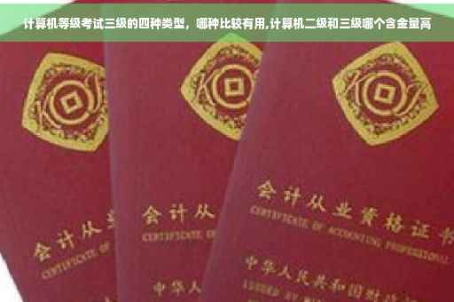 计算机等级考试三级的四种类型，哪种比较有用,计算机二级和三级哪个含金量高