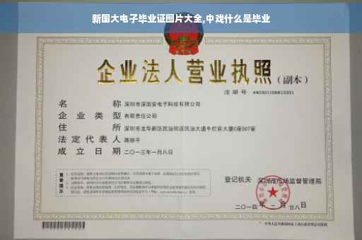 新国大电子毕业证图片大全,中戏什么是毕业