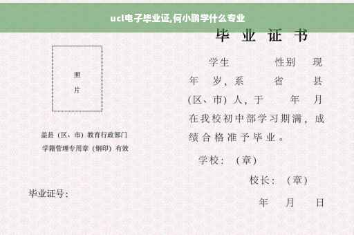 ucl电子毕业证,何小鹏学什么专业