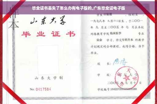毕业证书丢失了怎么办有电子版的,广东毕业证电子版