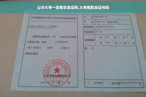 公办大专一定有毕业证吗,大专有职业证书吗