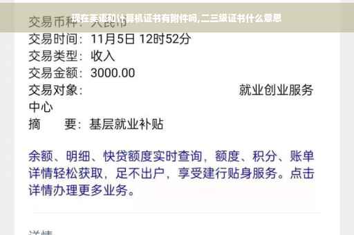 现在英语和计算机证书有附件吗,二三级证书什么意思