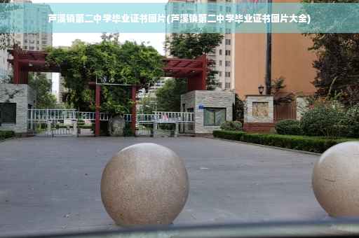 芦溪镇第二中学毕业证书图片(芦溪镇第二中学毕业证书图片大全)