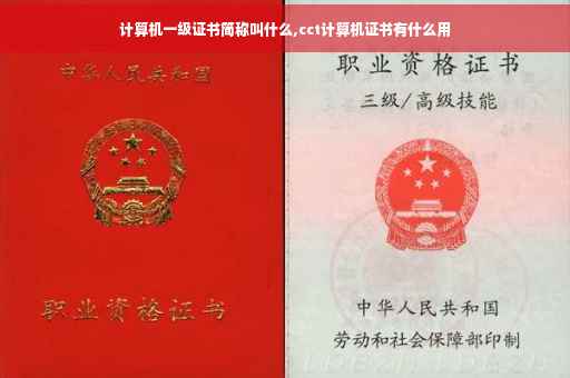 计算机一级证书简称叫什么,cct计算机证书有什么用