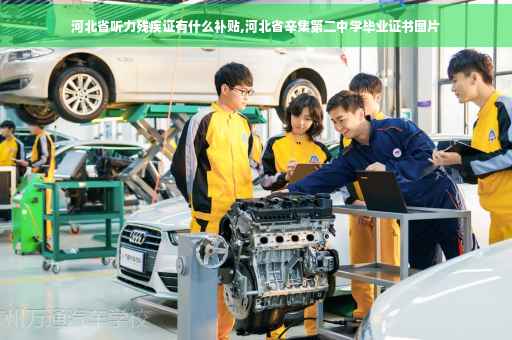 河北省听力残疾证有什么补贴,河北省辛集第二中学毕业证书图片