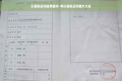 计算机证书报考条件-考计算机证书图片大全