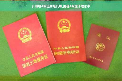 计算机4级证书是几级,编程4级属于啥水平