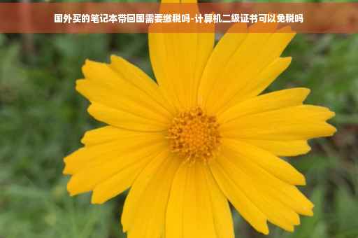 国外买的笔记本带回国需要缴税吗-计算机二级证书可以免税吗