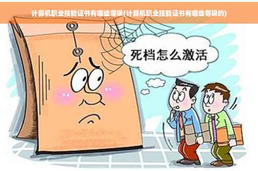 计算机职业技能证书有哪些等级(计算机职业技能证书有哪些等级的)