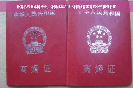 计算机专业本科毕业，计算机是几级-计算机算不算专业资格证书呢