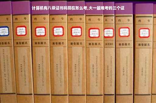 计算机有八级证书吗现在怎么考,大一最难考的三个证