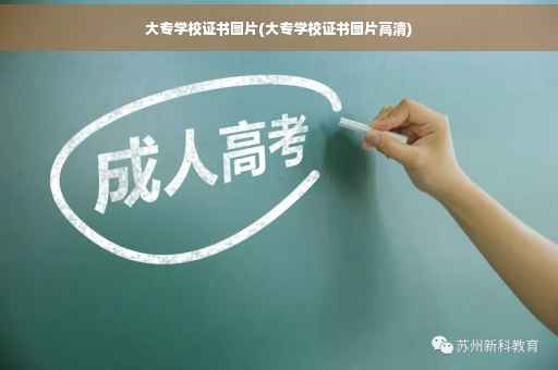 大专学校证书图片(大专学校证书图片高清)