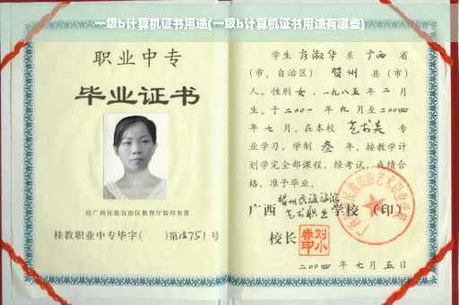 一级b计算机证书用途(一级b计算机证书用途有哪些)