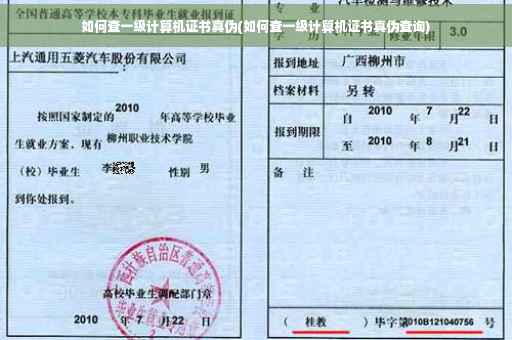 如何查一级计算机证书真伪(如何查一级计算机证书真伪查询) 如何查一级计算机证书真伪(如何查一级计算机证书真伪查询)