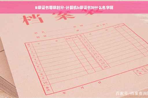 B级证书等级划分-计算机b级证书叫什么名字啊