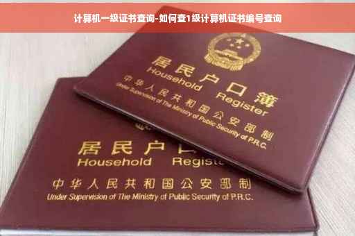计算机一级证书查询-如何查1级计算机证书编号查询