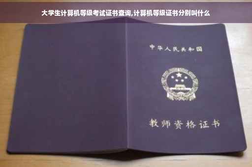 大学生计算机等级考试证书查询,计算机等级证书分别叫什么