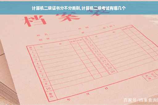 计算机二级证书分不分类别,计算机二级考试有哪几个