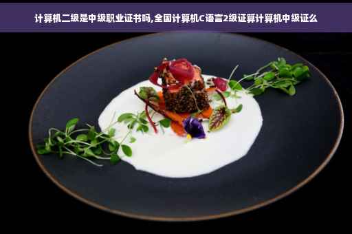 计算机二级是中级职业证书吗,全国计算机C语言2级证算计算机中级证么