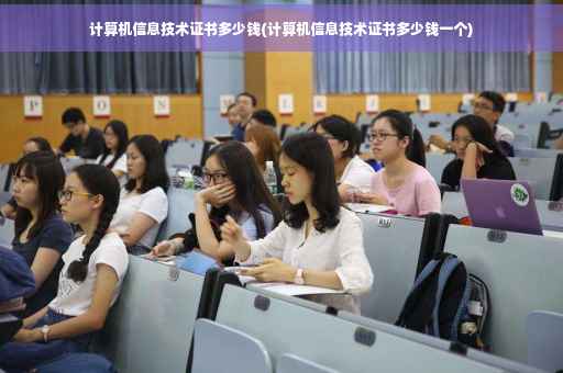 计算机信息技术证书多少钱(计算机信息技术证书多少钱一个)