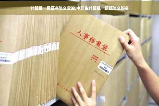 计算机一级证书怎么查询,中职生计算机一级证怎么报名