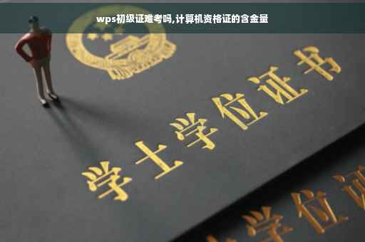 wps初级证难考吗,计算机资格证的含金量