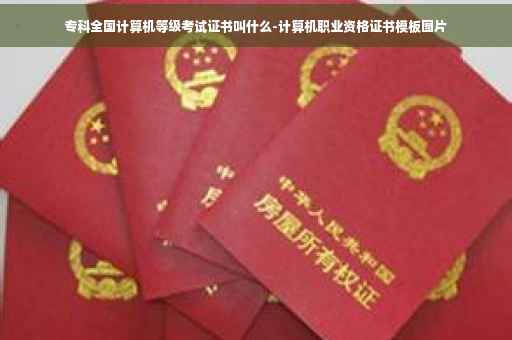 专科全国计算机等级考试证书叫什么-计算机职业资格证书模板图片