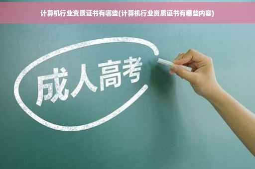 计算机行业资质证书有哪些(计算机行业资质证书有哪些内容)