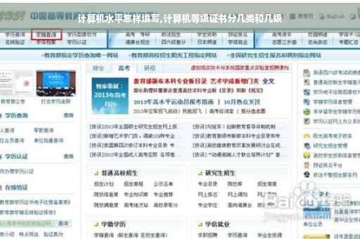 计算机水平怎样填写,计算机等级证书分几类和几级