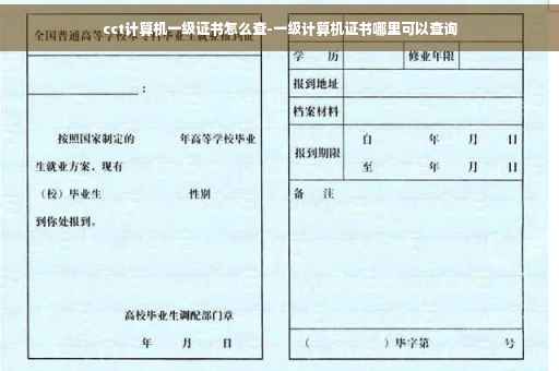 cct计算机一级证书怎么查-一级计算机证书哪里可以查询