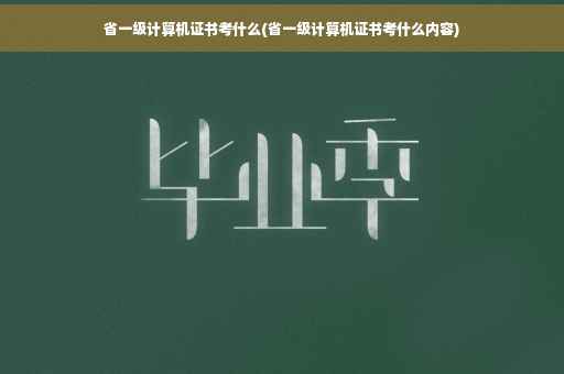 省一级计算机证书考什么(省一级计算机证书考什么内容)