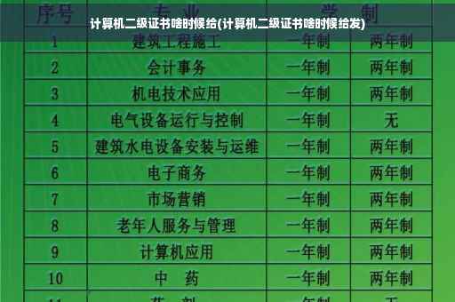 计算机二级证书啥时候给(计算机二级证书啥时候给发)
