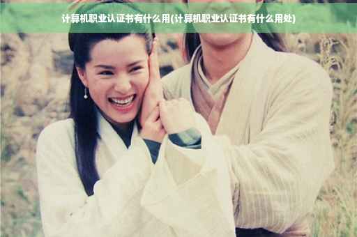 计算机职业认证书有什么用(计算机职业认证书有什么用处)