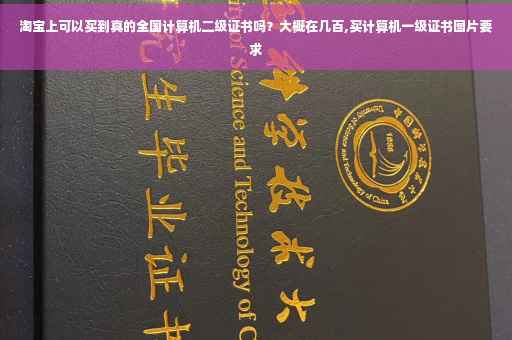 淘宝上可以买到真的全国计算机二级证书吗？大概在几百,买计算机一级证书图片要求