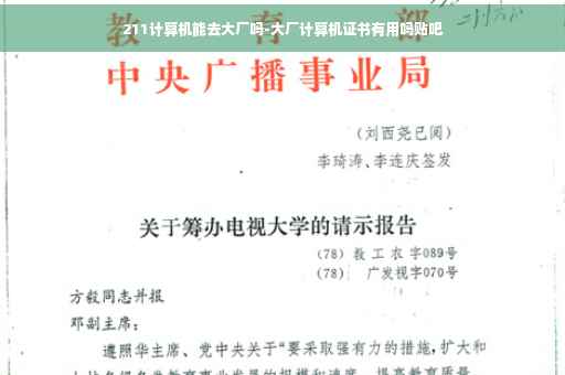 211计算机能去大厂吗-大厂计算机证书有用吗贴吧