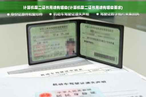 计算机国二证书用途有哪些(计算机国二证书用途有哪些要求)