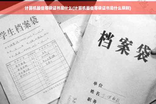 计算机最低等级证书是什么(计算机最低等级证书是什么级别)