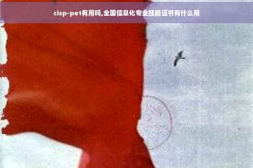 cisp-pet有用吗,全国信息化专业技能证书有什么用