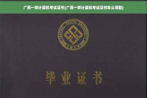 广西一级计算机考试证书(广西一级计算机考试证书怎么领取)