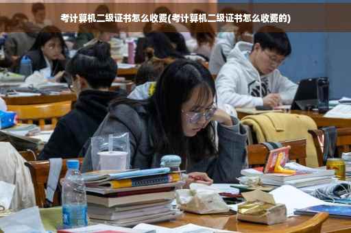 考计算机二级证书怎么收费(考计算机二级证书怎么收费的)