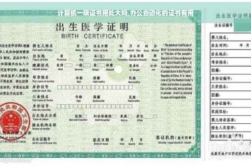 计算机一级证书用处大吗,办公自动化的证书有用