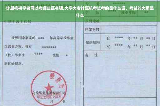 计算机初学者可以考哪些证书呢,大学大专计算机考试考的是什么证，考试的大纲是什么