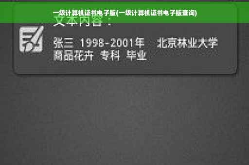 一级计算机证书电子版(一级计算机证书电子版查询)